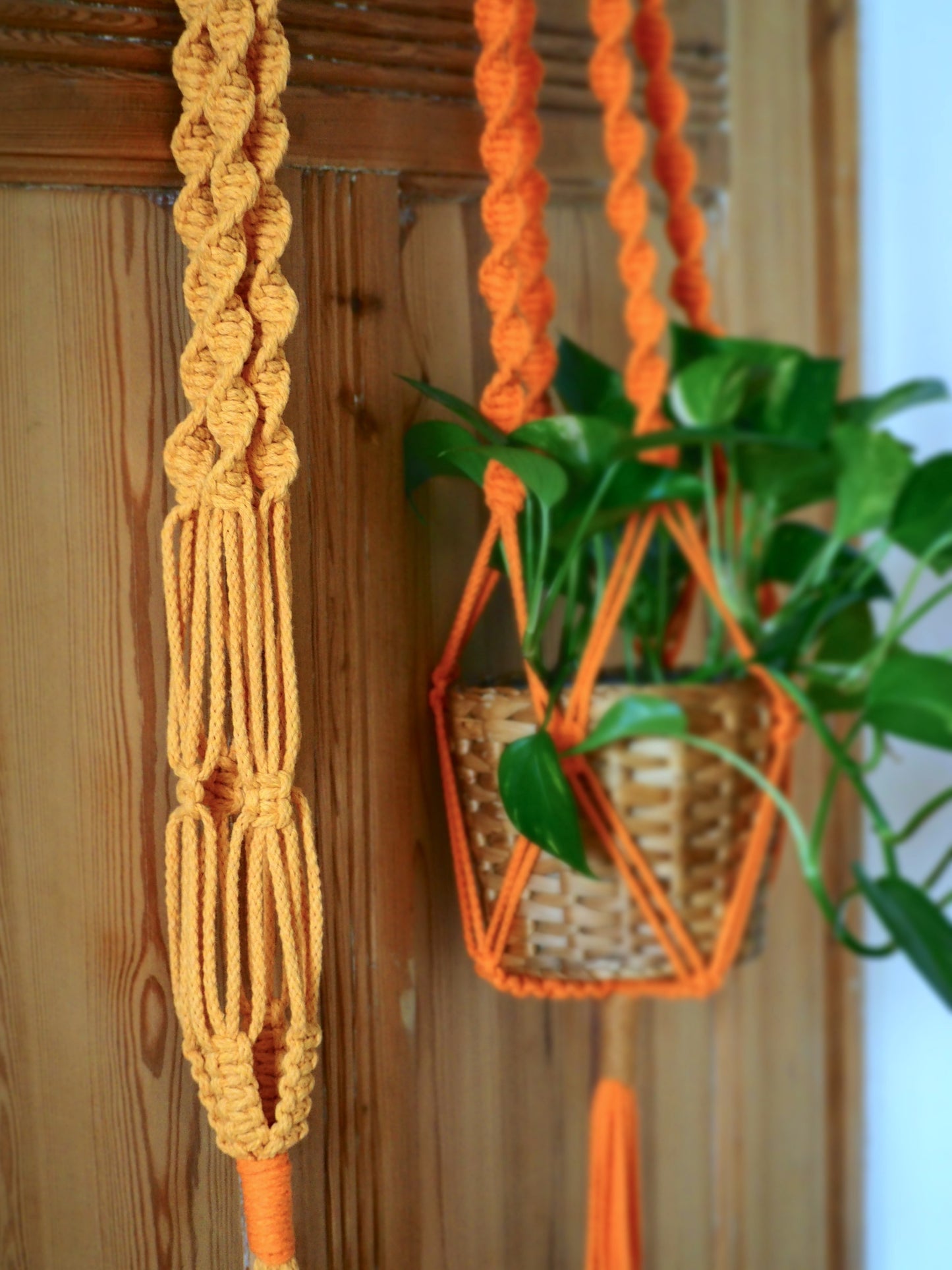 XL Blumenampel "1969" - mango & orange - Knotwork orange